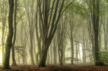 Morning mist by Jan Paul Kraaij