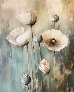 Mohn im Licht