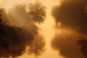 Eine neblige Landschaft in der Nähe des Zuidlaardermeers in Drenthe von Bas Meelker