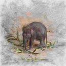 Artistic Animal Baby Elephant van Angelika Möthrath thumbnail