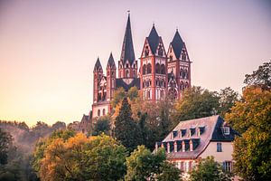 Der limburger dom Hinter Bäumen in einer Großaufnahme