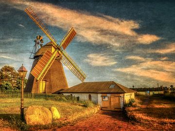 Alte Mühle auf Amrum im Abendlicht