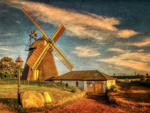 Oude molen op Amrum in het avondlicht