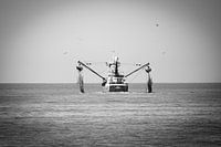 Das Fischerboot