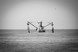 Le bateau de pêche