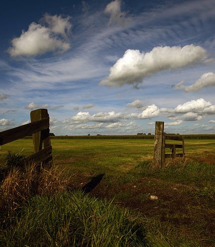 De geest moet waaien