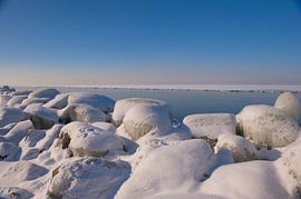 Abstract in nature in ice von Brian Morgan