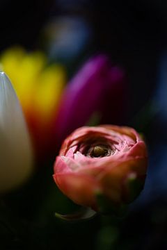 Blumenkunst von Annemarie Veldman