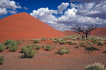 Der Atem der Wüste – Düne im Namib-Naukluft-Park