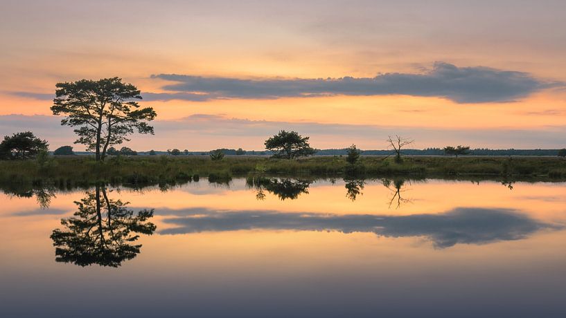 Dwingelderveld Holtveen by Marga Vroom