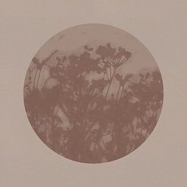 Botanical art in neutral earthy tones no. 1 by Dina Dankers