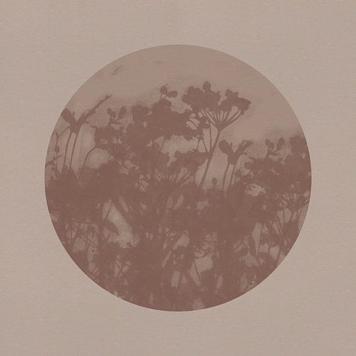 Botanische kunst in neutrale aardetinten nr. 1