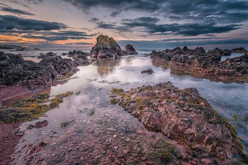 Rocky coast at Eyemouth by Sander Poppe