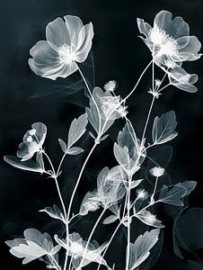 photogramme en noir et blanc d'une plante et de fleurs dans le style des photos américaines des années 20