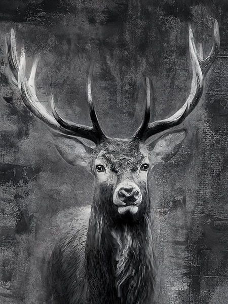 Bilder Abstrakt Hirsch Bunt Modern Leinwandbild Wanddeko
