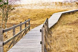 Houten pad door de duinen bij de Baltische Zee