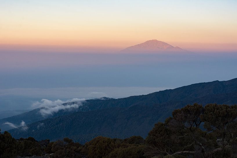 Kilimanjaro van Ronne Vinkx