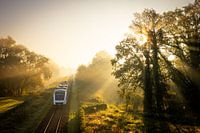 Trein door herfstlandschap met ochtendmist