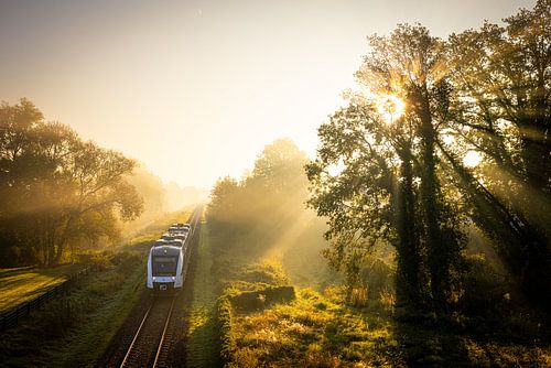 Trein door herfstlandschap met ochtendmist