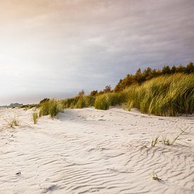 Lumières des dunes de la mer Baltique sur Ursula Reins