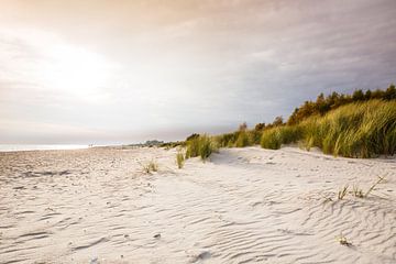 Lumières des dunes de la mer Baltique sur Ursula Reins