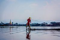 Rowing with the legs you've got