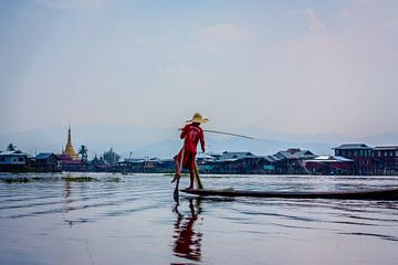 Rowing with the legs you've got by Joey Ploch