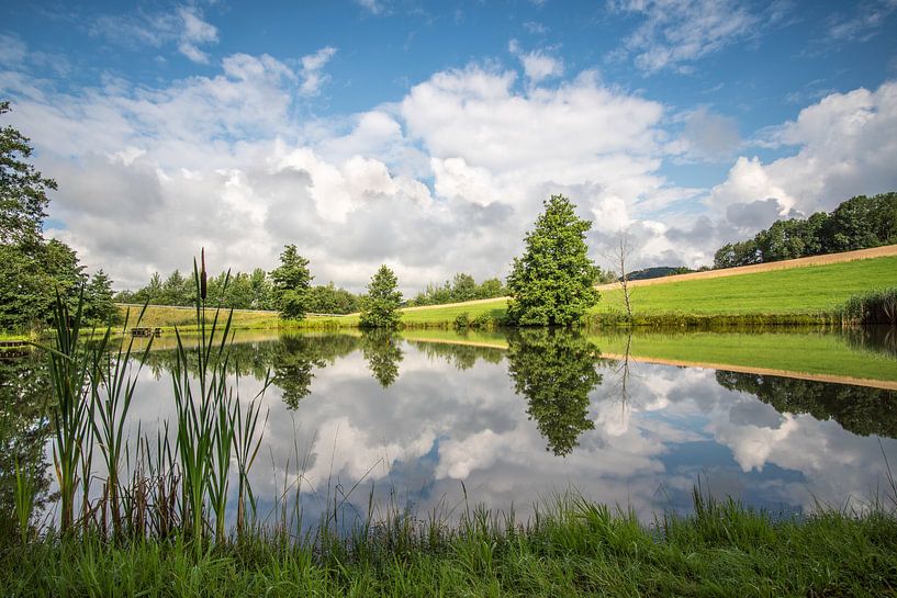 Reflection in the lake by Berthold Ambros