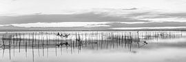 Lake landscape in black and white by Manfred Voss, Black-White Photography