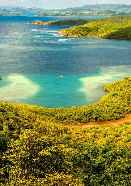 Het schiereiland Caravelle op Martinique van Hilke Maunder