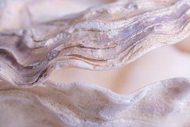 Die offene Auster (Schale) von Marjolijn van den Berg