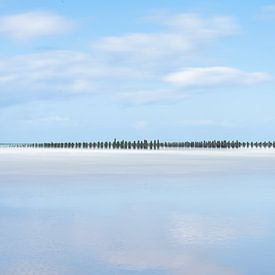 Mosselbanken Opaalkust Frankrijk van Caroline Drijber Guérain