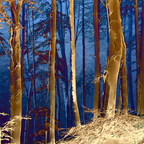 Magic of the forest at night by Mad Dog Art