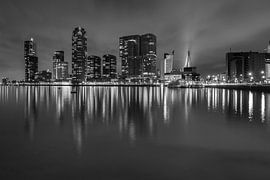 Rijnhaven, Rotterdam van Peter Hooijmeijer