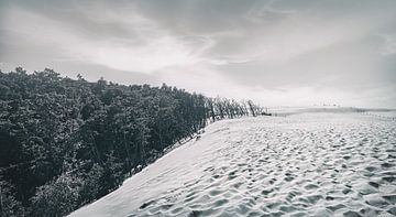Dunes de sable mouvantes de Łeba (Leba) en Pologne sur Jakob Baranowski - Photography - Video - Photoshop