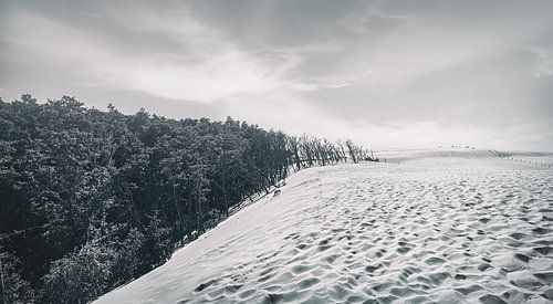 Łeba (Leba) stuifzandduinen in Polen