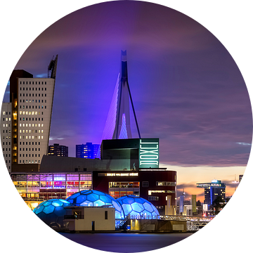 Rotterdam Nights van Vincent Fennis