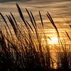 Zonsondergang aan de duinen van Danny de Jong