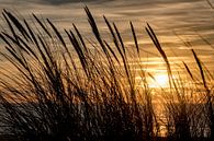 Zonsondergang aan de duinen van Danny de Jong thumbnail