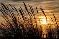 Sonnenuntergang in den Dünen