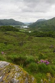 Ladies' View Killarney (Ireland) by Marcel Kerdijk