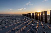 AMELAND Schaduwen op het strand