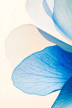 Vallée de fleurs bleues - Une élégance délicate sur Poster Art Shop