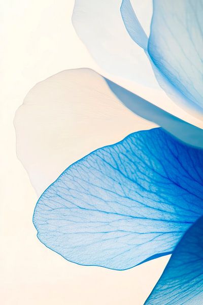 Blauw bloemblaadje - Delicate elegantie van Poster Art Shop