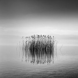 Black and White Silence by George Digalakis