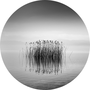 Zwart -witte stilte, George Digalakis van 1x