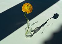 Licht & Schatten