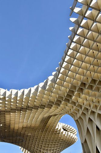 Setas de Sevilla
