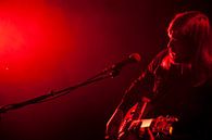 Band of Skulls in Red van Ton de Koning thumbnail