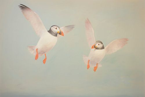 Puffins in flight